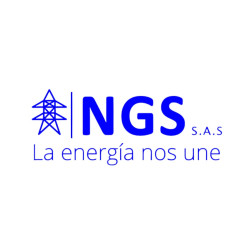 DPS Pararrayo 30KV 10KA Polimerico Sintetico Sin Herraje